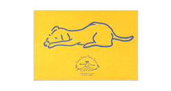 �|�X�g�J�[�h�WDM